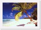 TETIA3 * VT-Compress (tm) Xing Technology Corp. * 799 x 556 * (142KB)