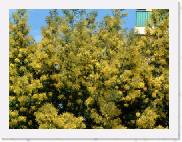 M003 * 600 x 450 * (38KB)