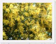 M004 * 600 x 450 * (38KB)