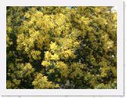 M014 * 600 x 450 * (37KB)